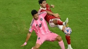 تحدي شوبير.. مدرب بالميراس يكشف كواليس مواجهة الأهلي في مونديال الأندية